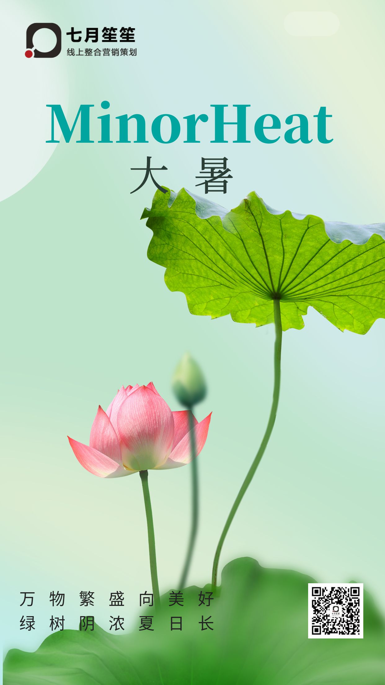 大暑 | 万物繁盛向美好，绿树阴浓夏日长